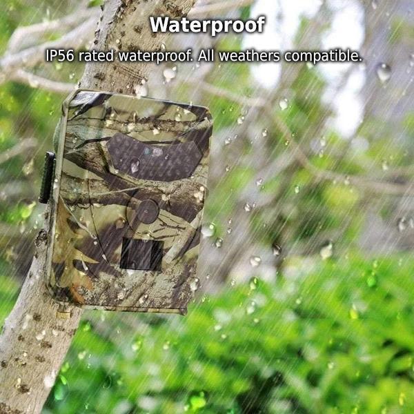 Skanto | Clear Vision Trail Camera
