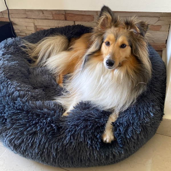 Skanto | Hundeseng Plush Ortopedisk Beroligende Kjæledyrlaken
