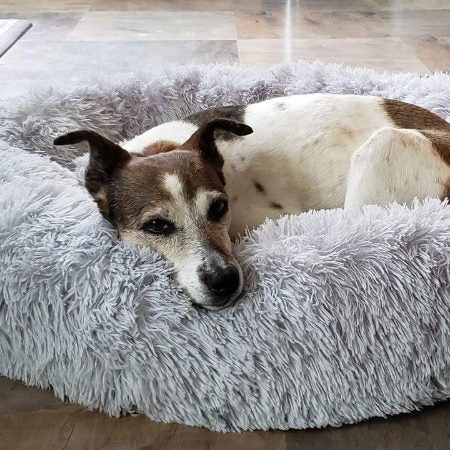 Skanto | Hundeseng Plush Ortopedisk Beroligende Kjæledyrlaken
