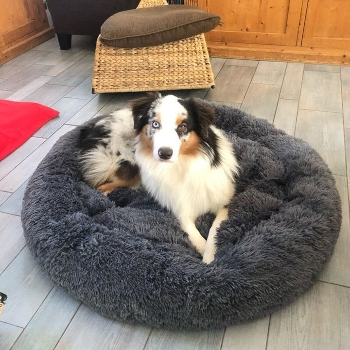 Skanto | Hundeseng Plush Ortopedisk Beroligende Kjæledyrlaken