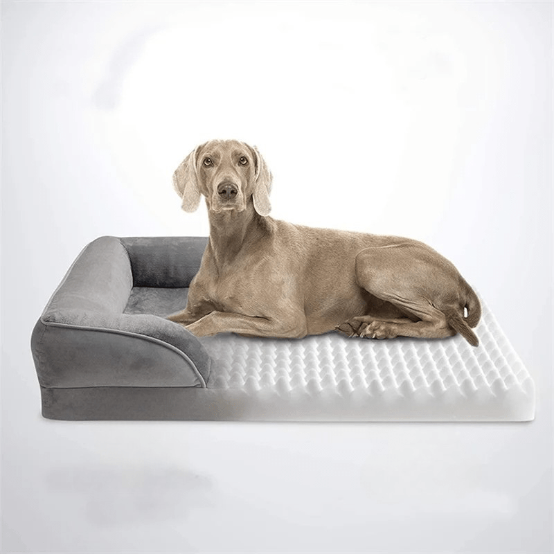 Skanto | COMFYPAW ORTHOBED – Ortopedisk Hundeseng med Fellesavlastende Skummadrass