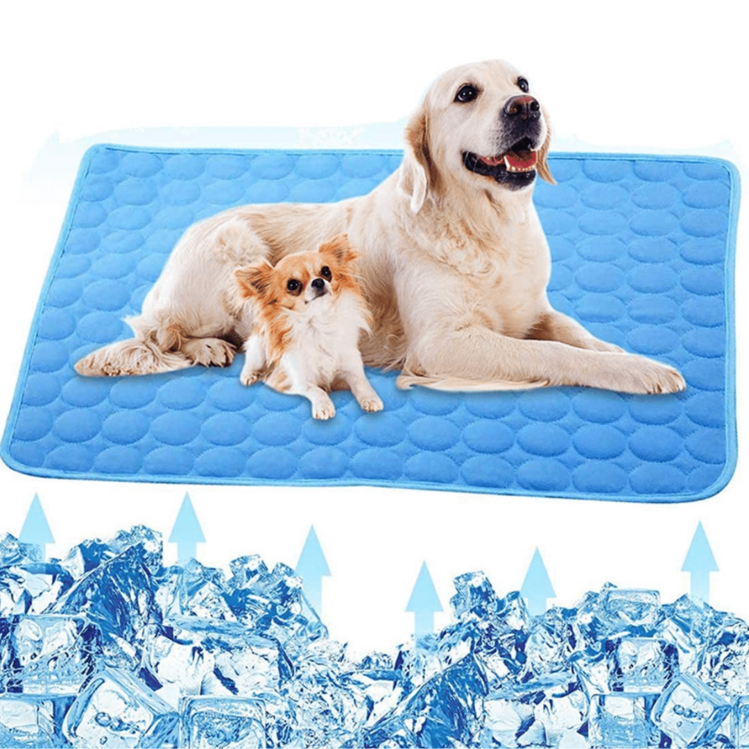Cooling Dog Mat - CoolPet Mat Skanto