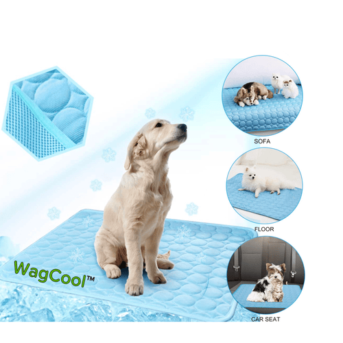 Cooling Dog Mat - CoolPet Mat Skanto