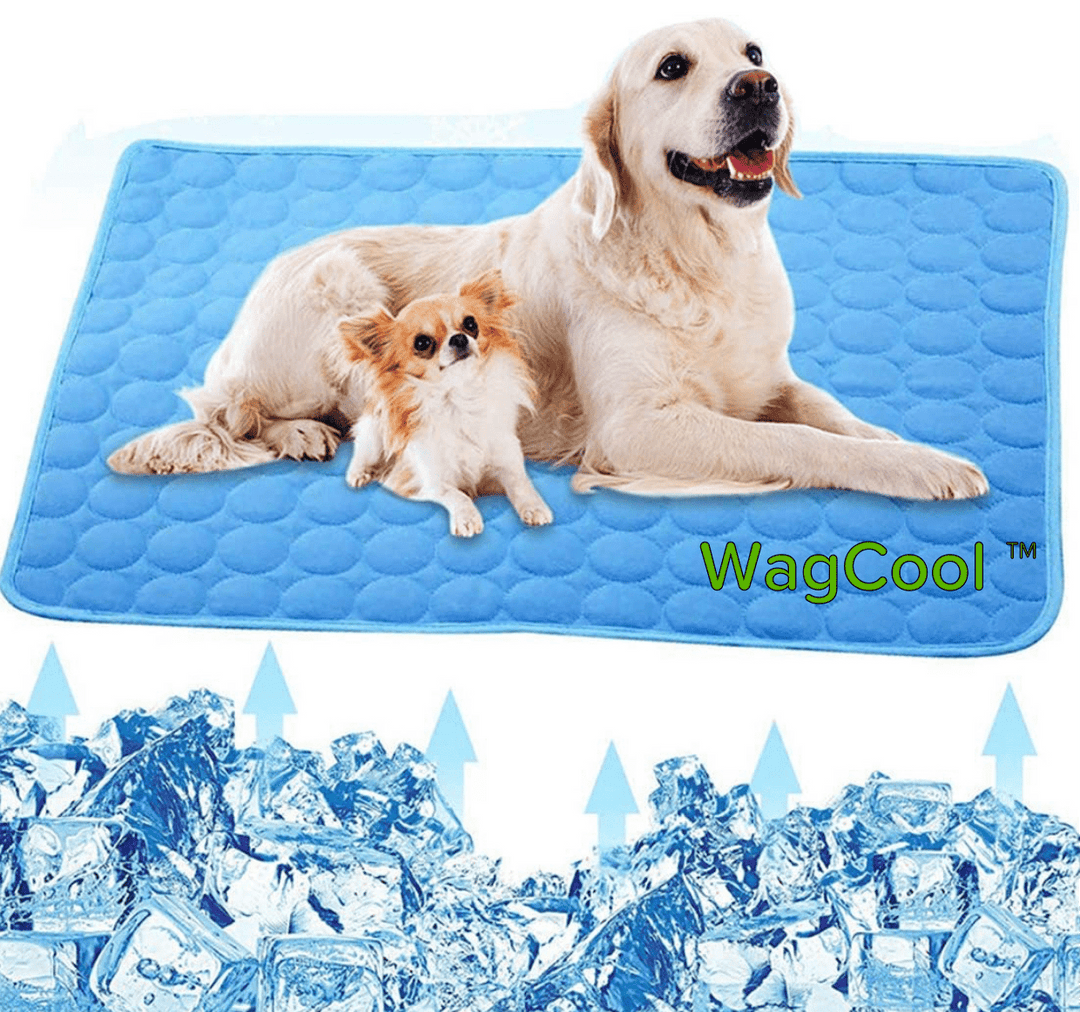 Cooling Dog Mat - CoolPet Mat Skanto