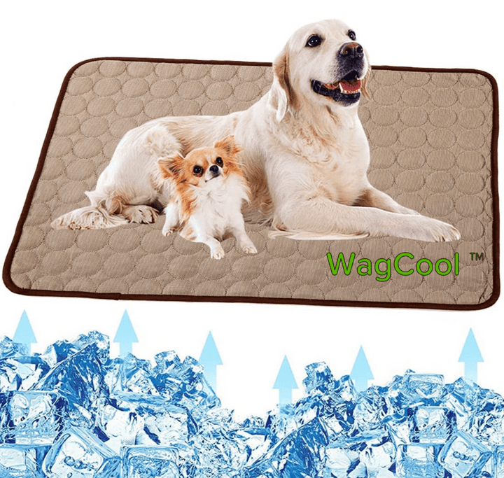 Cooling Dog Mat - CoolPet Mat Skanto