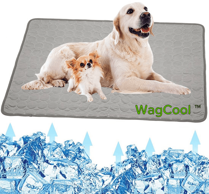 Cooling Dog Mat - CoolPet Mat Skanto