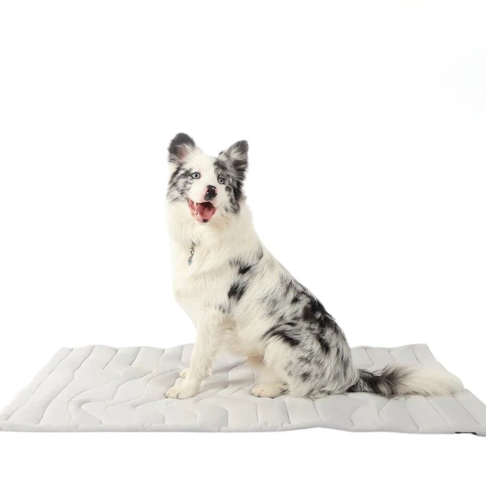 Skanto | CoolPaws Kjølematte – Selvkjølende Hundematte for Lettet i Varme Sommerdager