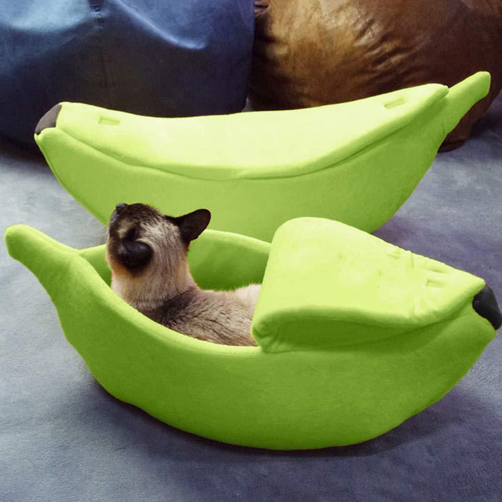 Skanto | Cozy Banana Kjæledyrsleie