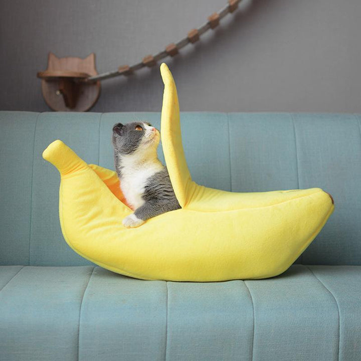 Skanto | Cozy Banana Kjæledyrsleie