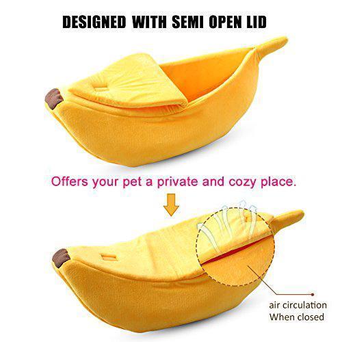 Skanto | Cozy Banana Kjæledyrsleie