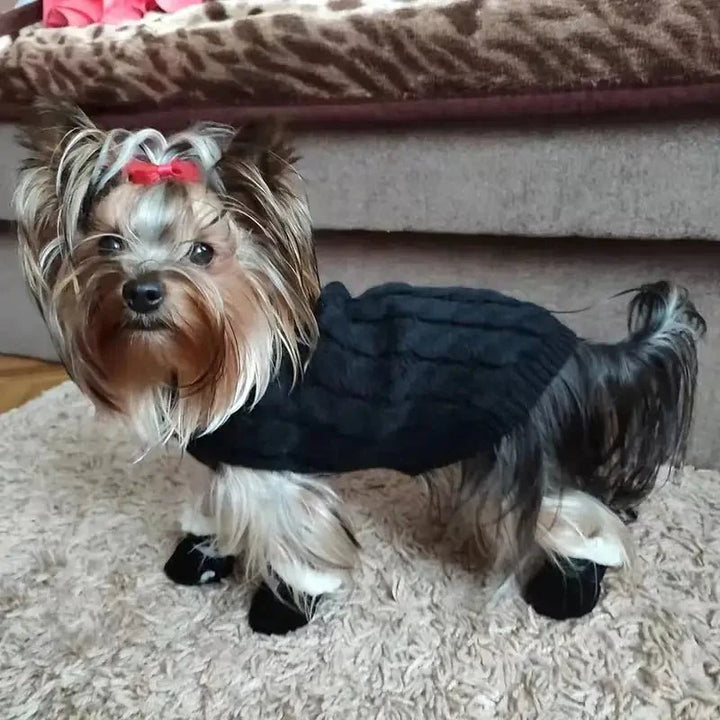 CozyPaws • Vanntette støvler for hund