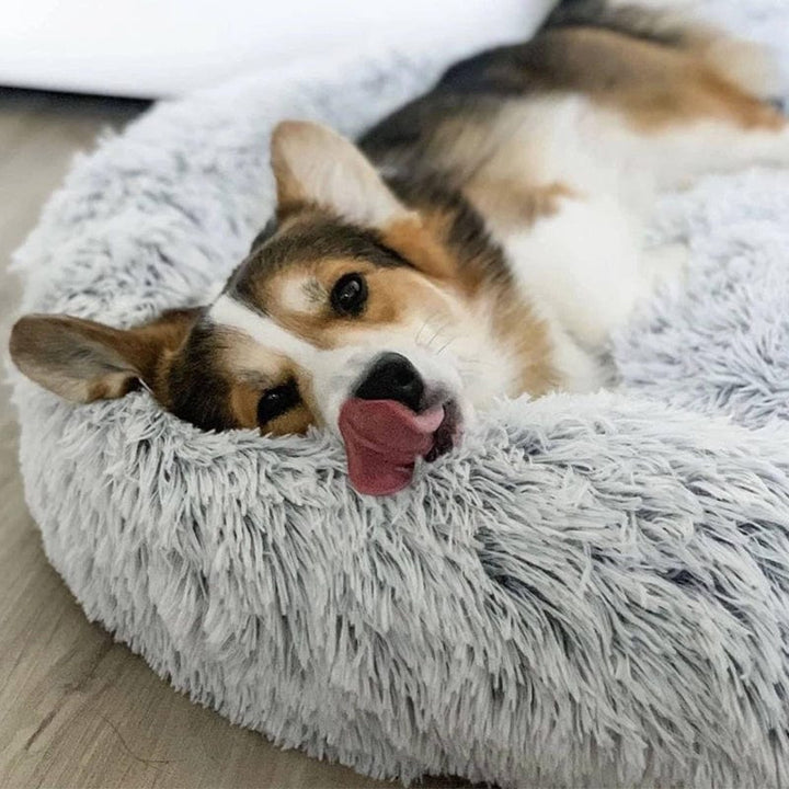 Skanto | COZYPET – Beroligende Hundeseng med Plysj Fuskepels & Avtagbart Trekk