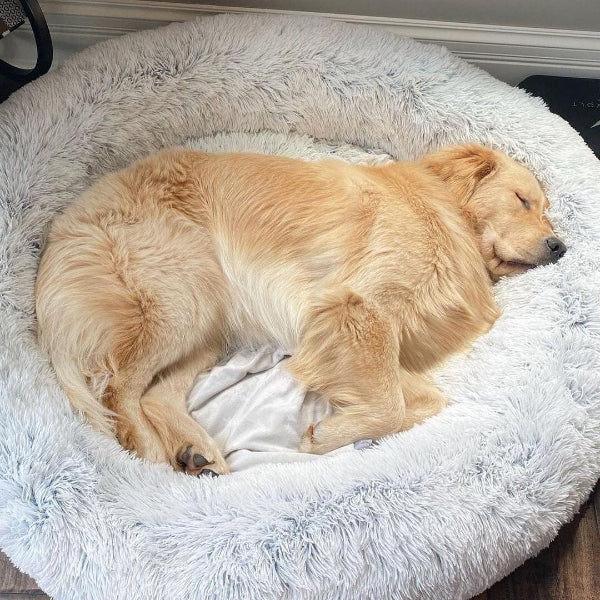 Skanto | COZYPET – Beroligende Hundeseng med Plysj Fuskepels & Avtagbart Trekk