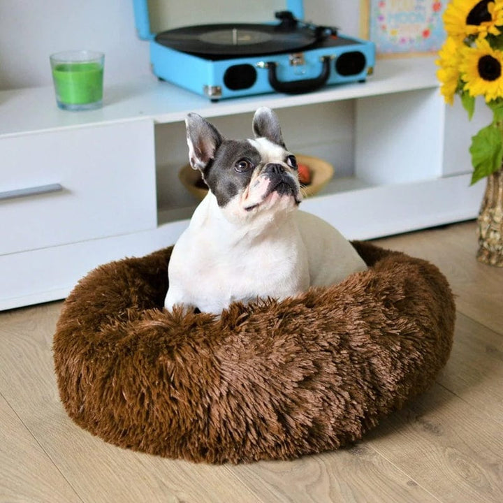 Skanto | COZYPET – Beroligende Hundeseng med Plysj Fuskepels & Avtagbart Trekk