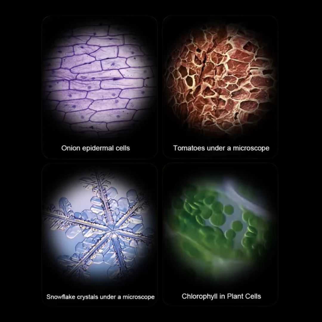 Norvo | NYSJERRIG SINNE VITENSKAP OMFANG – Montessori-inspirert mikroskop for barn for utforskning og STEM-læring