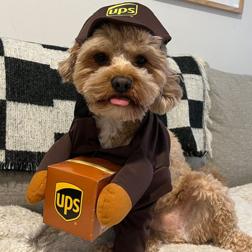 Skanto | Halloween Hund Kostyme Leveranse Outfit