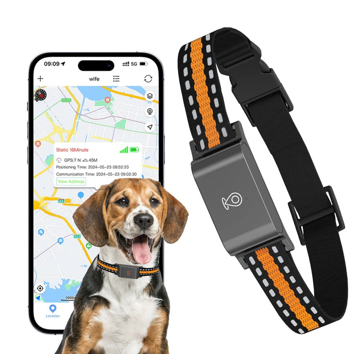 Skanto | GPS Hund og Katt Halsbånd – Ubegrenset Rekkevidde Real-Time Tracker