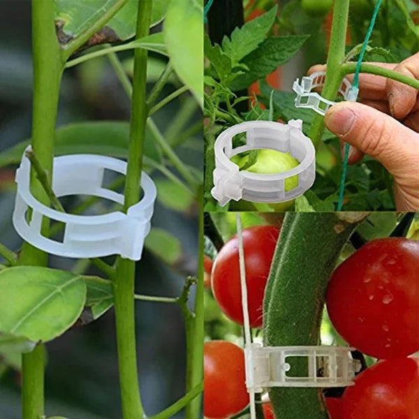 GripKing Clips — Hold plantene sterke og oppdag enkelt, sunn vekst! | Skanto