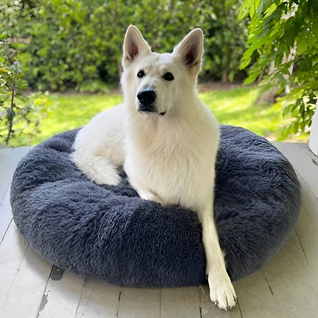 Skanto | Beroligende Hundeseng