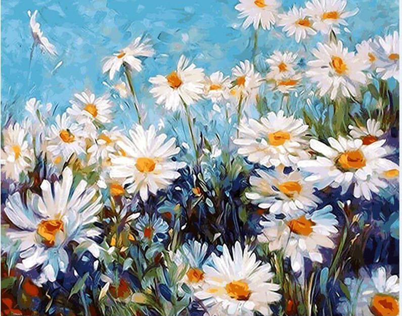 Field of Daisies - Van-Go Mal-etter-nummer Kit | Skanto