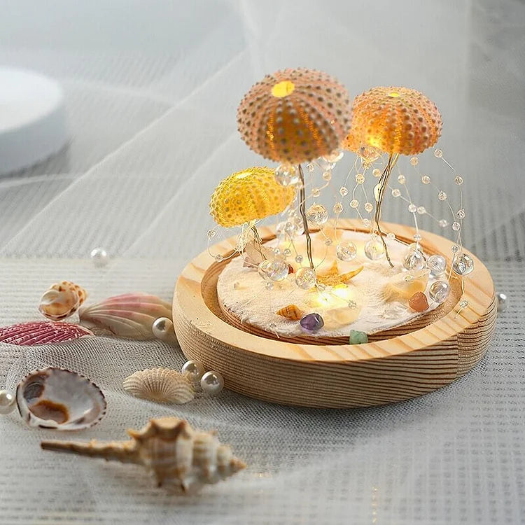 Norvo | LumiCraft – Unik DIY bordlampe med naturlig sjøskjell for en koselig dekor