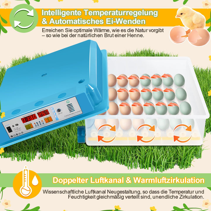 Brutautomat Helautomatiske Inkubator for Kyllinger 64 Egg | Skanto