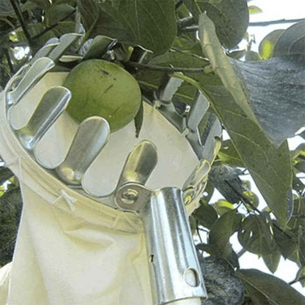 Skanto | Fruktplukker Hodekurv