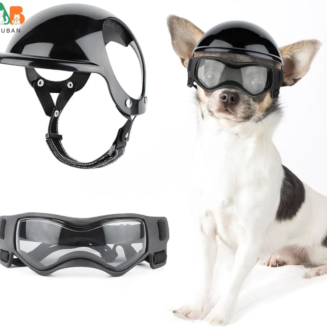 Hundehjelm og Goggles - RiderPaw Skanto