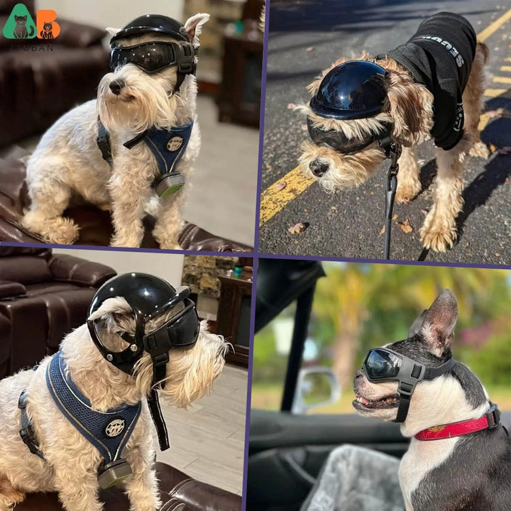 Hundehjelm og Goggles - RiderPaw Skanto