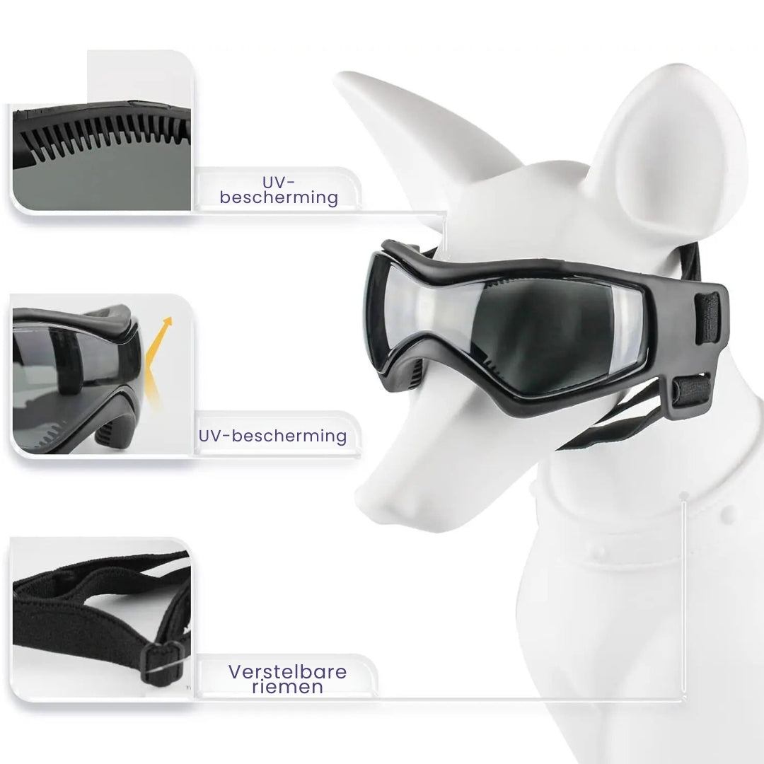 Hundehjelm og Goggles - RiderPaw Skanto