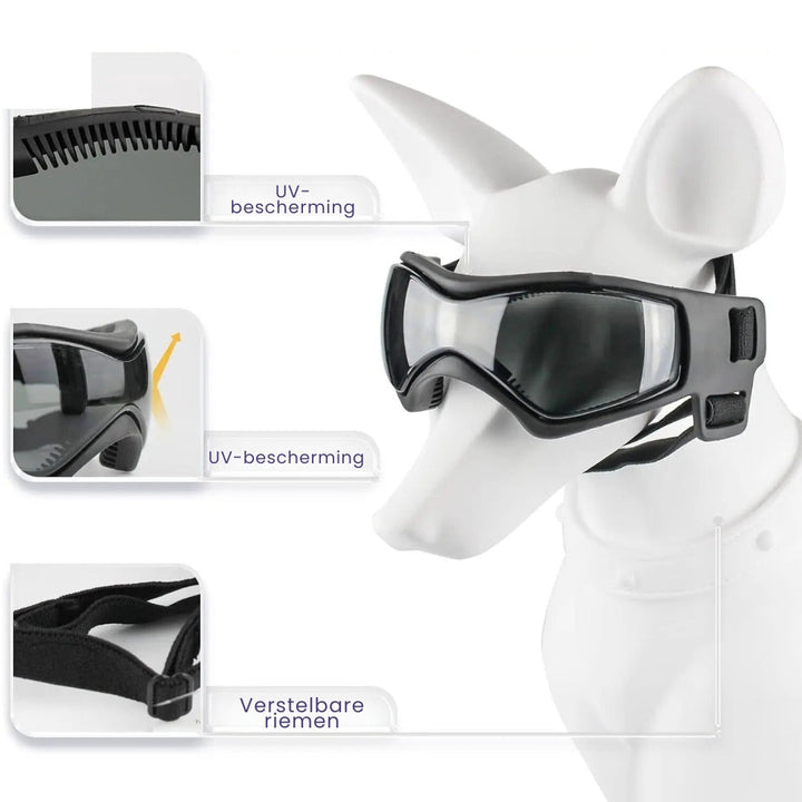 Hundehjelm og Goggles - RiderPaw Skanto