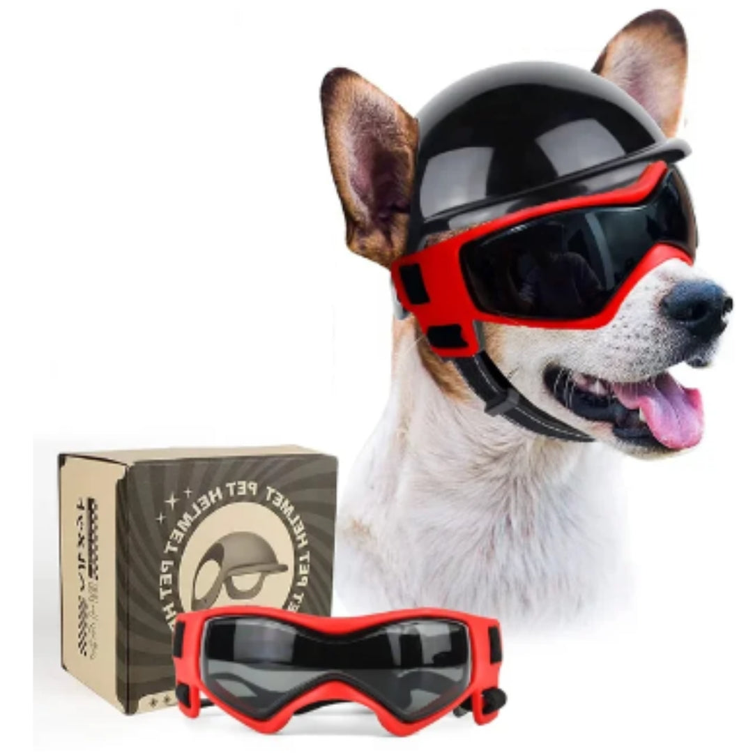 Hundehjelm og Goggles - RiderPaw Skanto