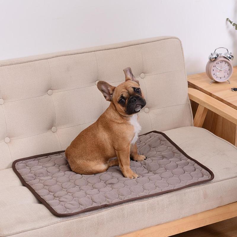 Skanto | DogCool – Selvkjølende hundematte for varme sommerdager