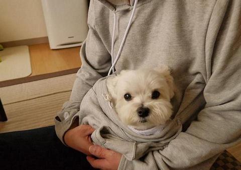 The Doggie Kangaroo Hoodie | Skanto
