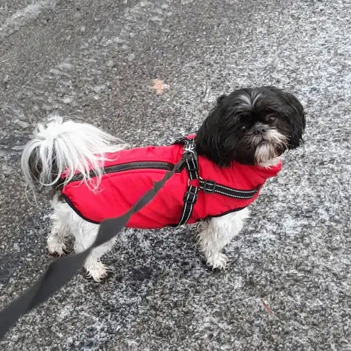 Skanto | Vanntett hundejakke for vinter med reflekterende innebygd sele