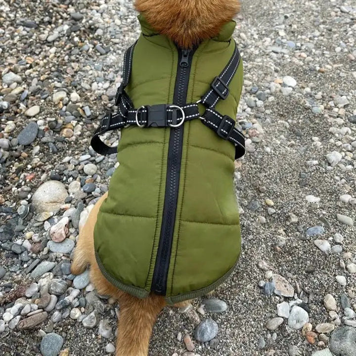Skanto | Vanntett hundejakke for vinter med reflekterende innebygd sele
