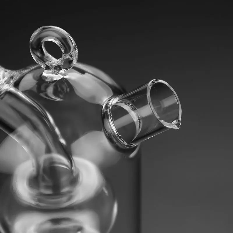 Dobbelt Glass Oiler Dual-purpose Glass Bottle Condiment Bottle | Skanto