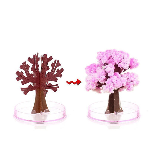 Skanto | Få hagen din til å blomstre - Dyrk ditt sakura-tre!