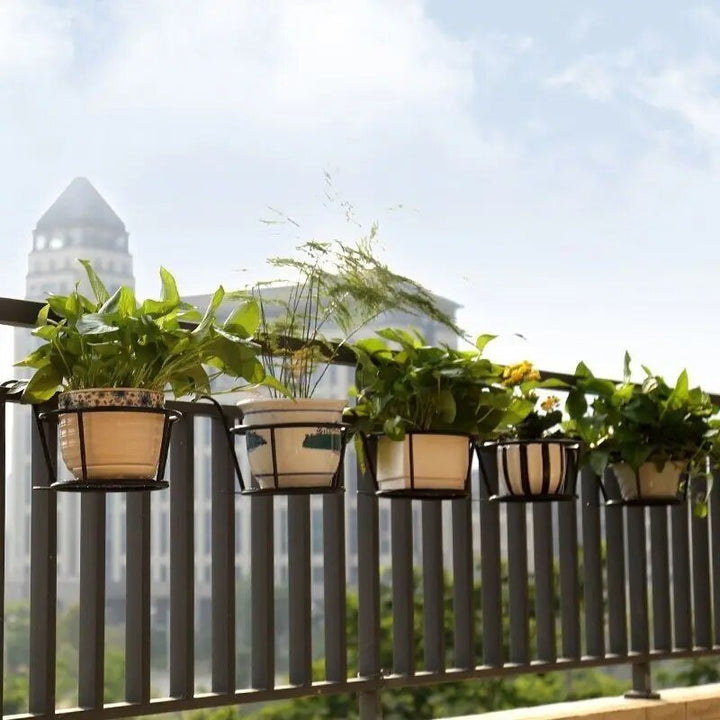 Skanto | Forvandle balkongen din - Hengende planter - Botanisk flukt