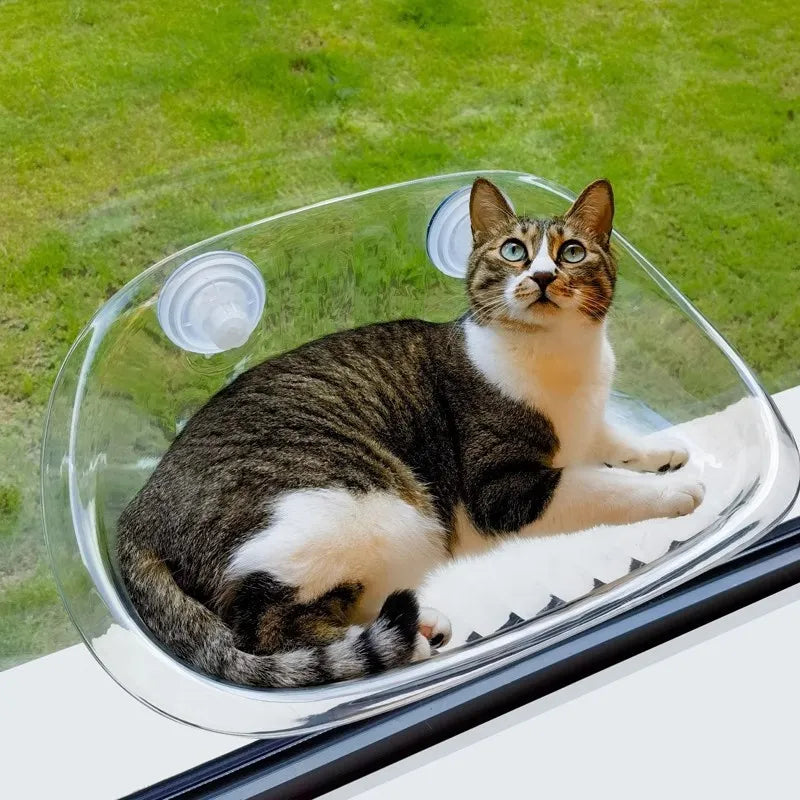 Kat-Sikker-Hengekøye | Den ultimate komforten for katten din | Skanto