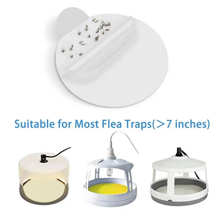 Skanto | Sticky Bed Bug Trap Refill Glue Boards
