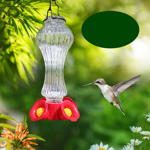 Skanto | Flowers Glass Kolibri Fugl Fôringsautomat Med Maur Grøft