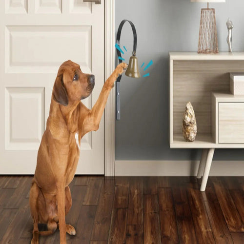 Skanto | Hundeklokk for Potty Trening