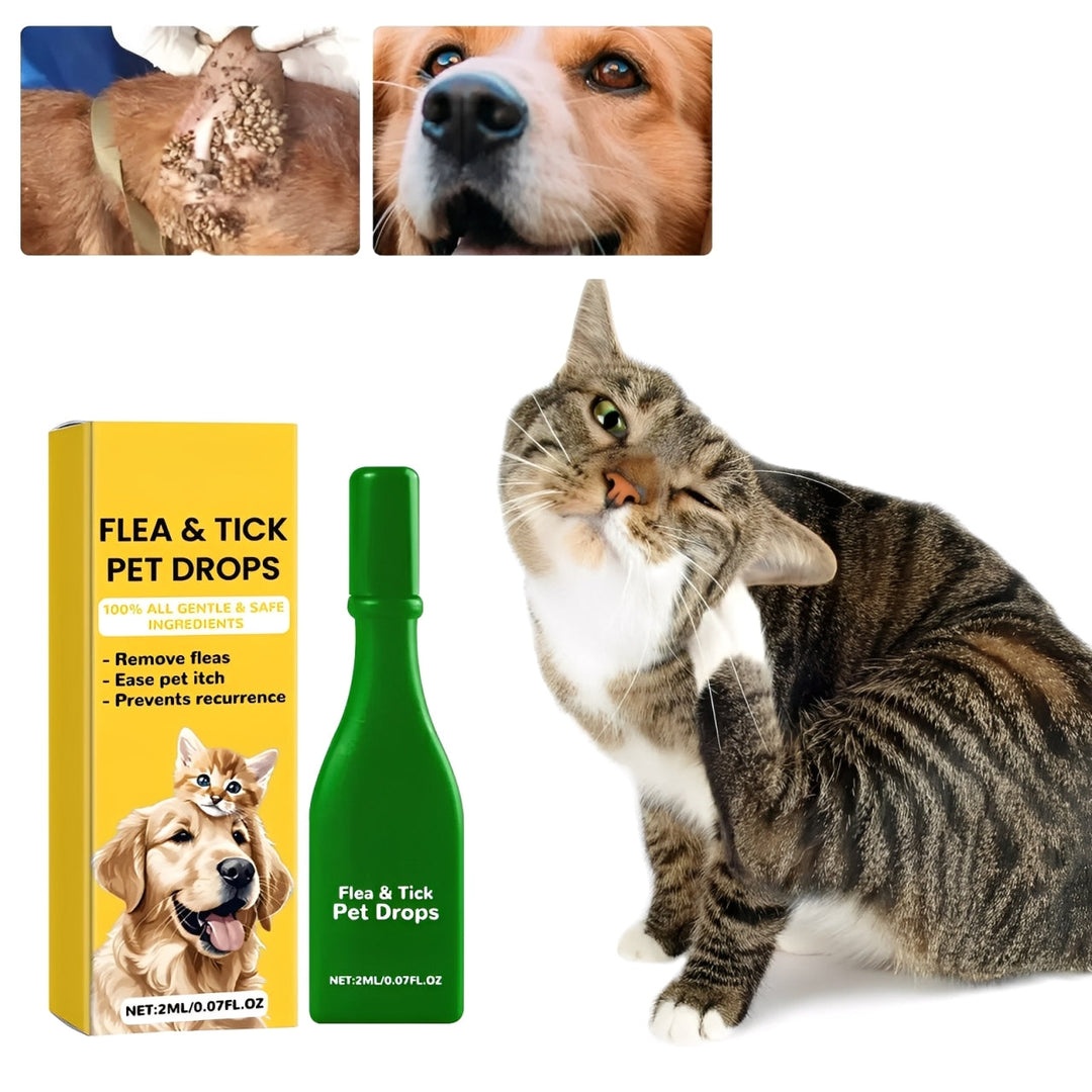 Skanto | Katt Loppemiddel Hjemme
