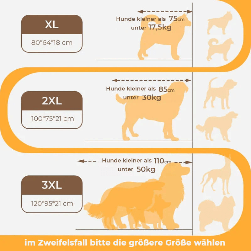 Skanto | CocoonChien | Optimal komfort for din følgesvenn
