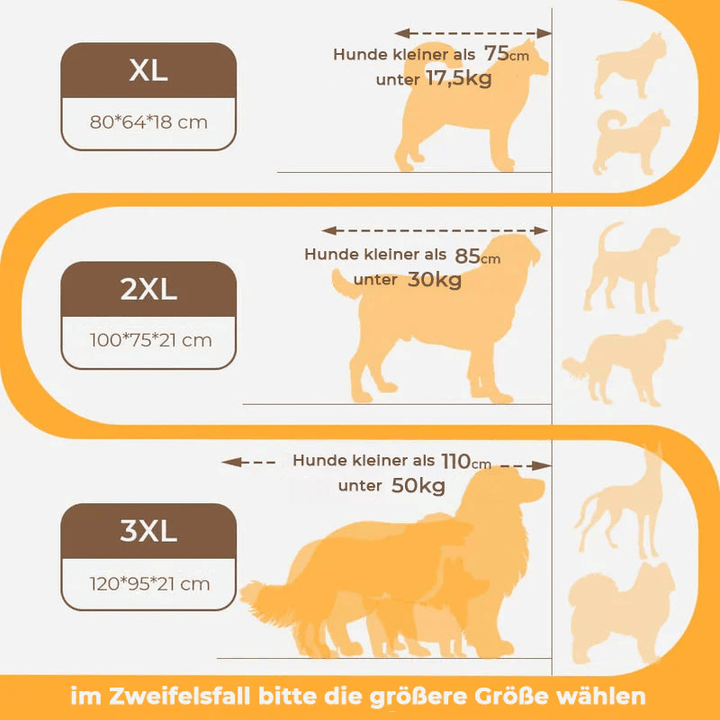 Skanto | CocoonChien | Optimal komfort for din følgesvenn