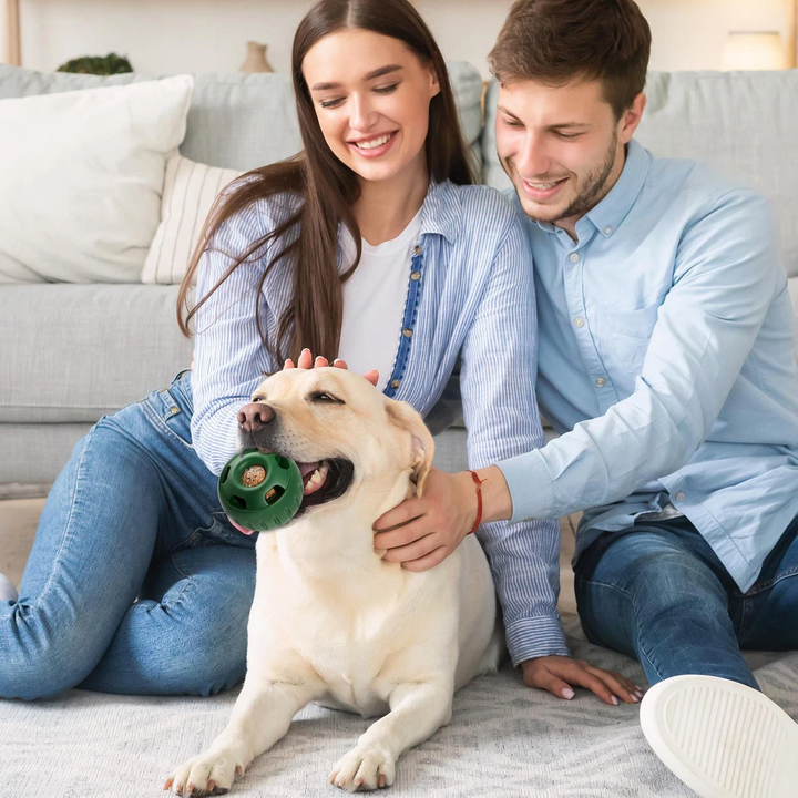 Behandle-likkende ball for hunder | Holdbar, gjenbrukbar, sommer moro | Skanto