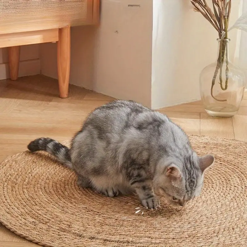 Kloreteppe for katter | Skanto