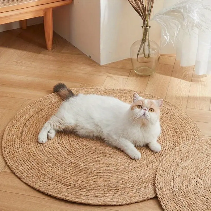 Kloreteppe for katter | Skanto