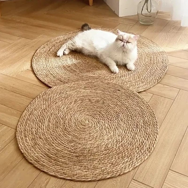Kloreteppe for katter | Skanto